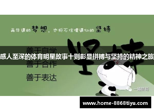 感人至深的体育明星故事十则彰显拼搏与坚持的精神之旅